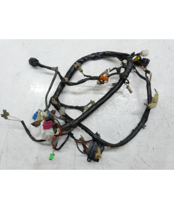 FAISCEAU ELECTRIQUE
