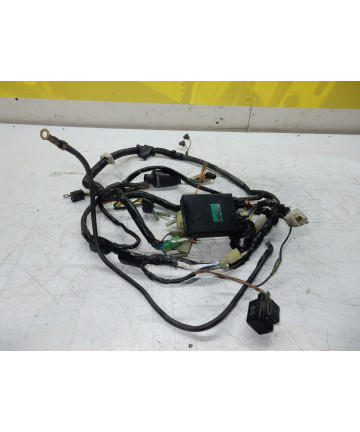 faisceaux électrique complet