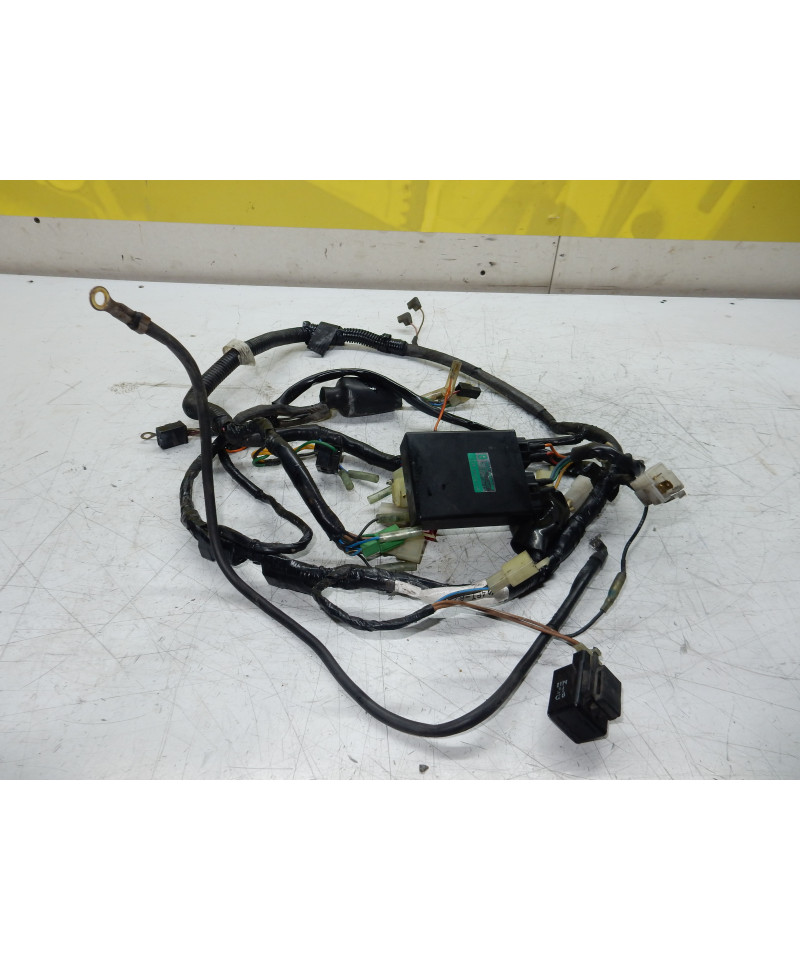 faisceaux électrique complet
