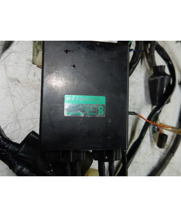 faisceaux électrique complet