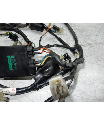 faisceaux électrique complet