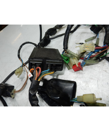 faisceaux électrique complet