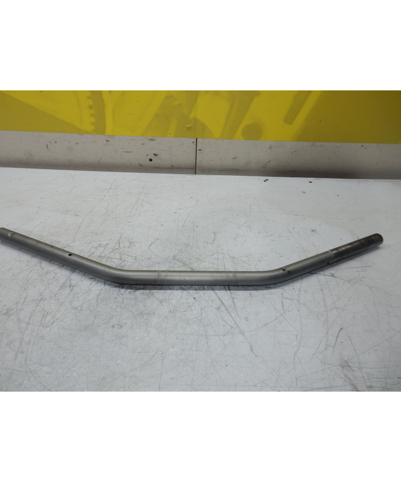 guidon