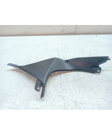 entourage de compteur gauche