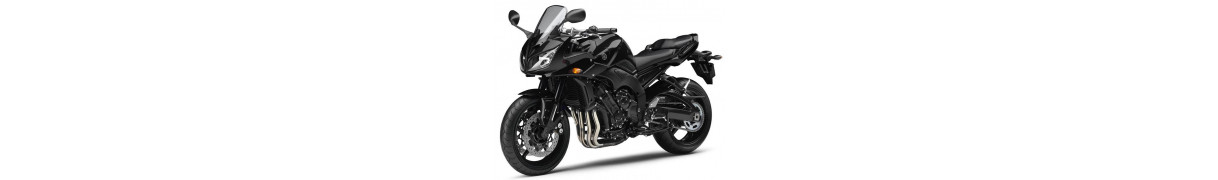 fz1 fazer