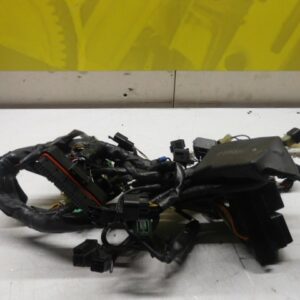 Faisceau électrique