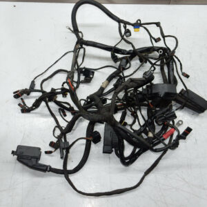 FAISCEAUX ELECTRIQUE COMPLET