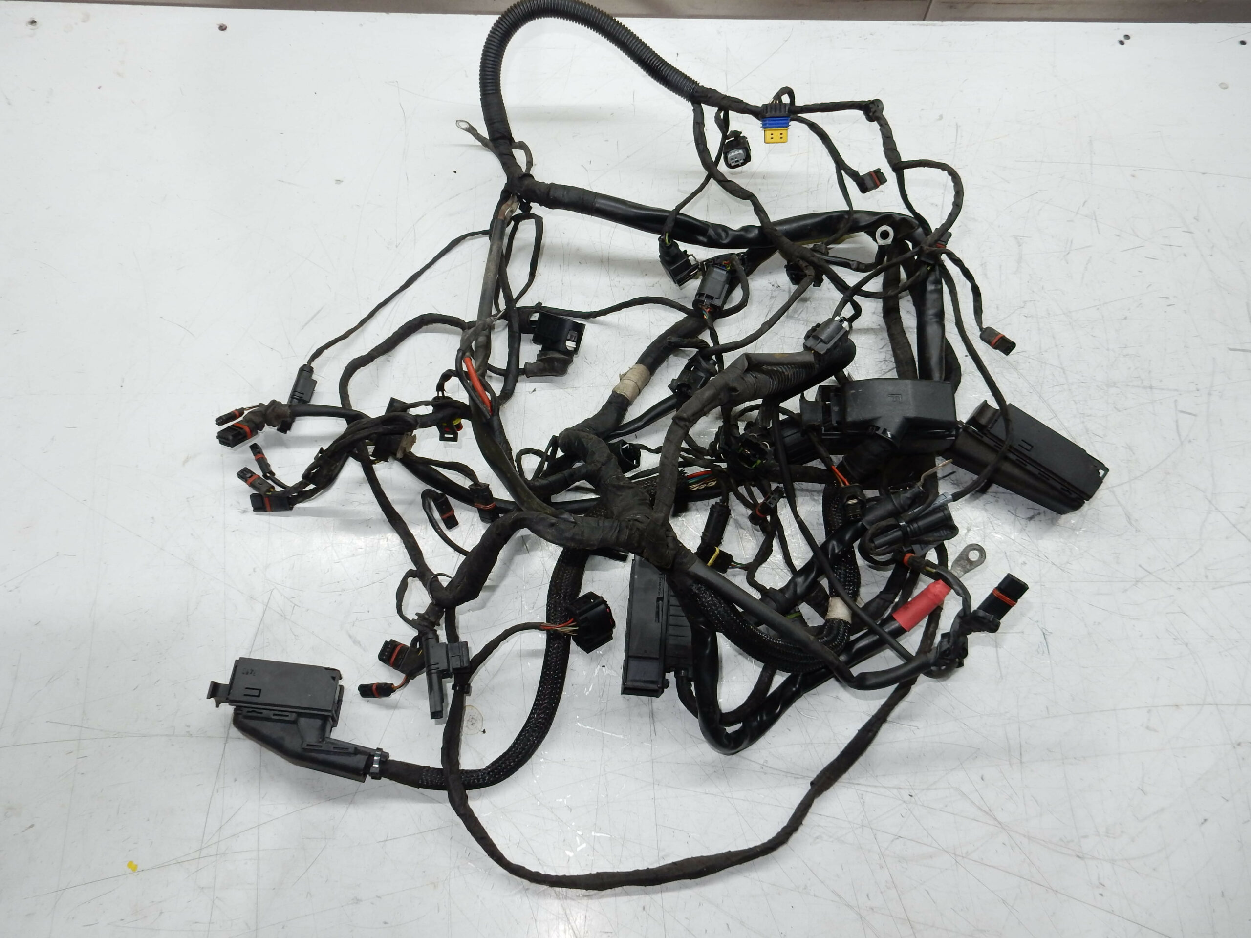 FAISCEAUX ELECTRIQUE COMPLET