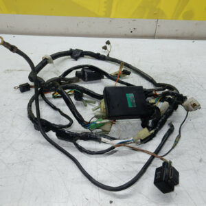 faisceaux électrique complet