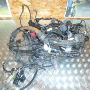 Faisceau électrique principal