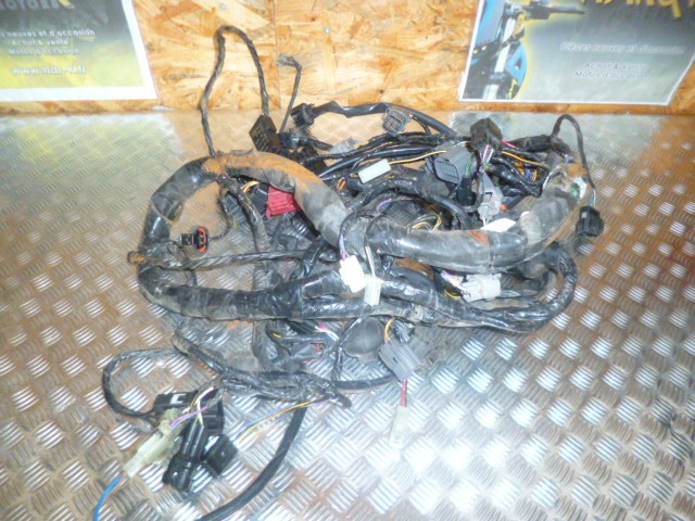 Faisceau électrique principal