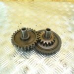 Pignons démarreur