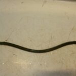 durite de frein arrière