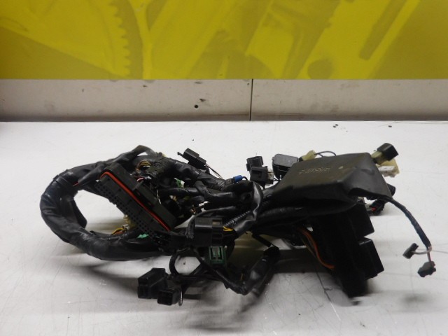 Faisceau électrique