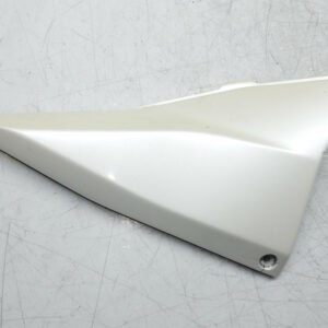 CARENAGE LATERAL DROIT