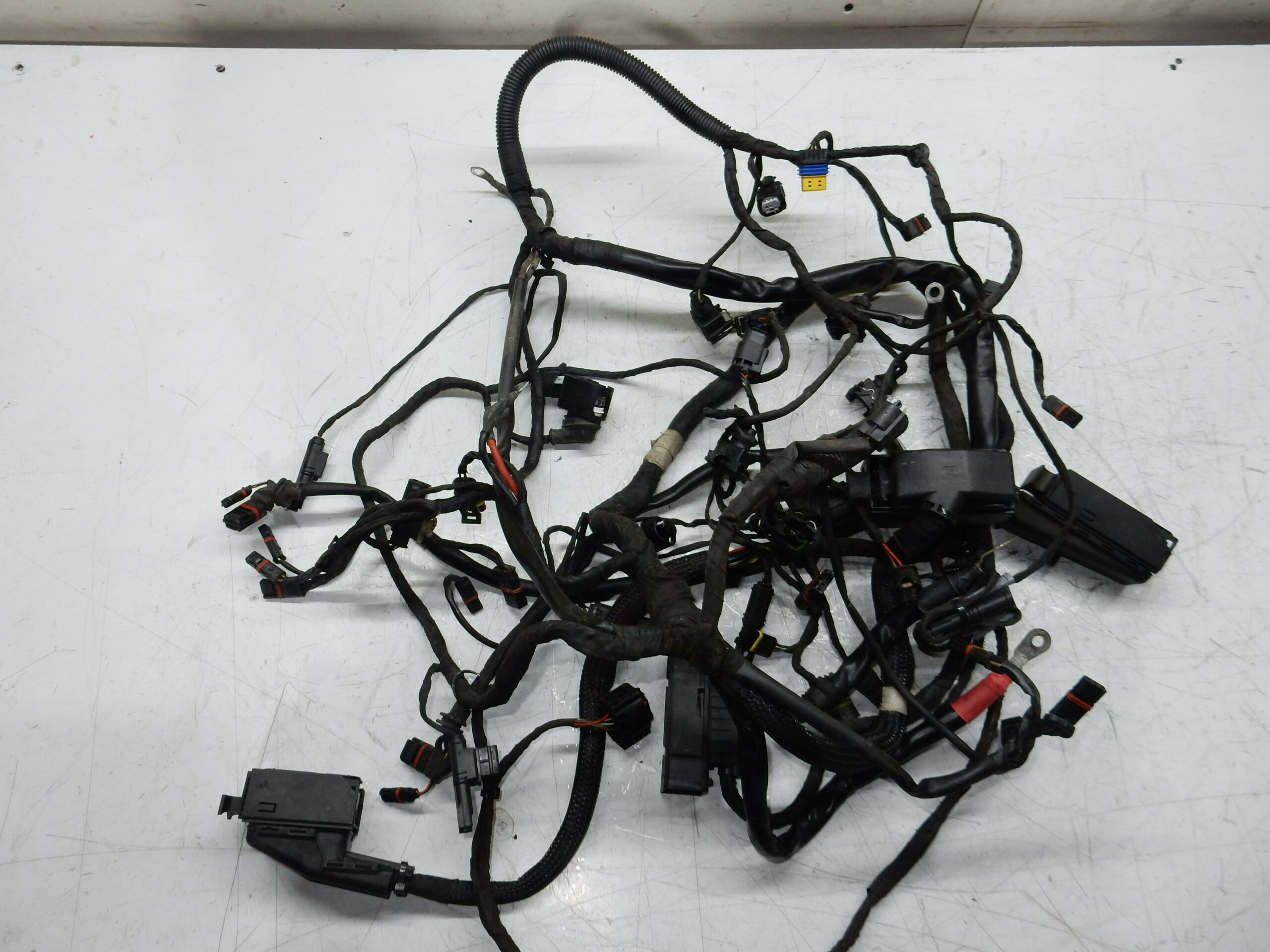 FAISCEAUX ELECTRIQUE COMPLET