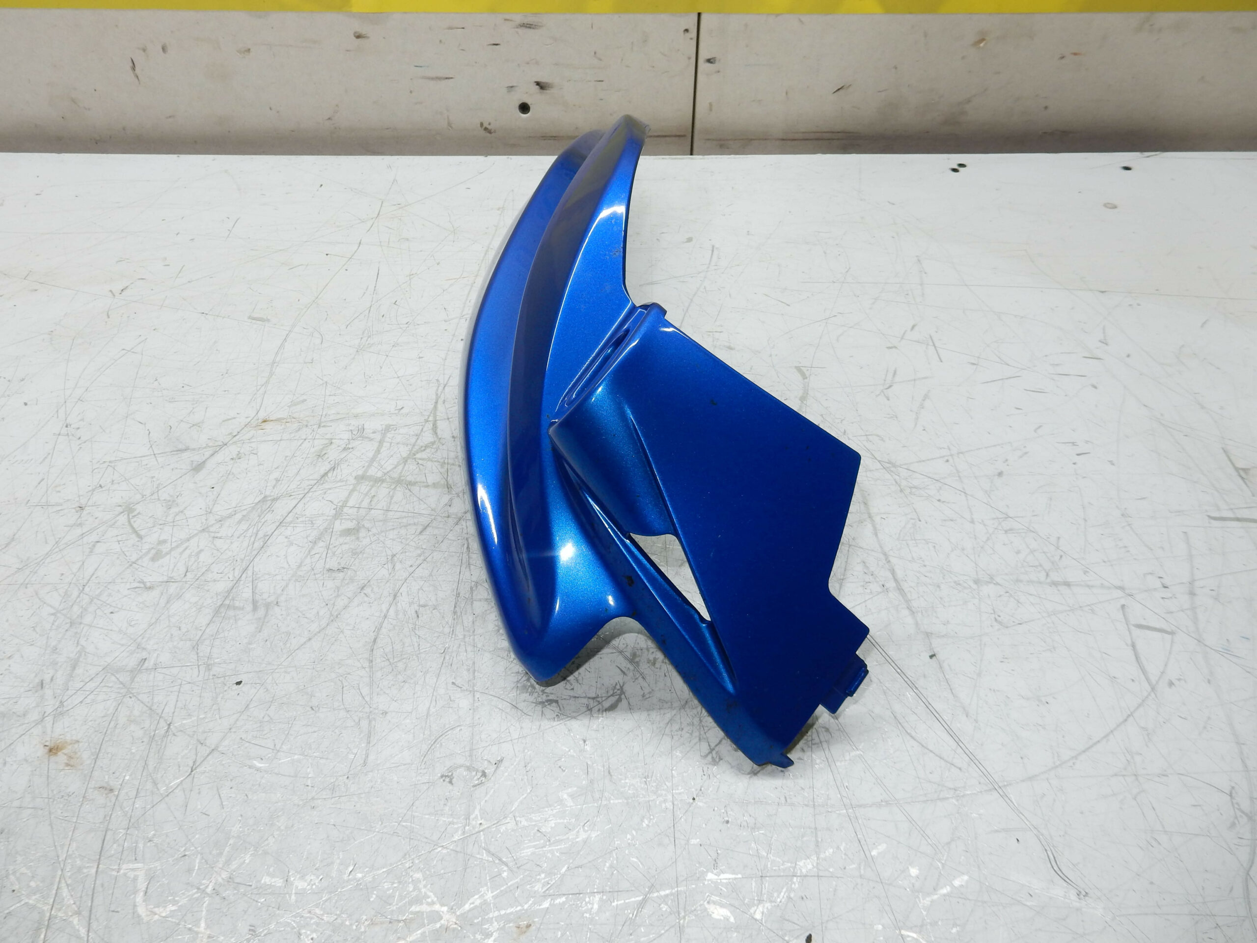 carénage tête de fourche gauche